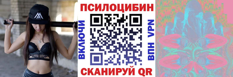 Галлюциногенные грибы Psilocybine cubensis  Муравленко 